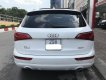 Audi Q5 2010 - Bán Audi Q5 sản xuất năm 2010, màu trắng, nhập khẩu.