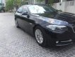 BMW 5 Series 520i 2015 - Bán ô tô BMW 5 Series 520i năm 2015, màu đen, xe nhập