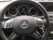 Mercedes-Benz E class 2014 - Bán ô tô Mercedes đời 2014, màu trắng