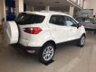 Ford EcoSport 1.5 Titanium 2018 - Phủ Lý Hà Nam bán Ford Ecosoport 1.5 Titanium giá thấp nhất, đủ màu giao ngay