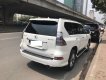 Lexus GX460 2010 - Cần bán lại xe Lexus GX460 sản xuất 2010 xe xuất Mỹ, đăng ký lần đầu 2014