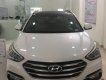 Hyundai Santa Fe Xăng 2018 - Bán Santa Fe xăng full, dầu full các màu hot hiện đang có sẵn ạ