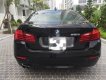 BMW 5 Series 520i 2015 - Bán ô tô BMW 5 Series 520i năm 2015, màu đen, xe nhập