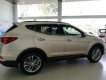 Hyundai Santa Fe 2018 - Hyundai Trường Chinh- Bán xe Santafe 2018 giao xe ngay giá ưu đãi liên hệ 0938539286