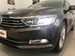 Volkswagen Passat 1.8 Bluemotion 2018 - Bán xe Volkswagen Passat 1.8 Bluemotion sản xuất 2018, màu xám, nhập khẩu