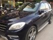 Mercedes-Benz ML Class    2013 - Bán ô tô Mercedes năm sản xuất 2013, màu đen, nhập khẩu