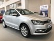 Volkswagen Polo 2018 - Bán ô tô Volkswagen Polo nhập khẩu nguyên chiếc từ Đức