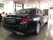 Mercedes-Benz E class E200 2017 - Cần bán Mercedes E200 đời 2017, màu xanh lam