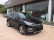 Hyundai Santa Fe 2018 - Bán ô tô Hyundai Santa Fe đời 2018, màu đen