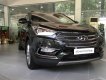 Hyundai Santa Fe 2018 - Bán ô tô Hyundai Santa Fe đời 2018, màu đen