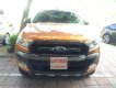 Ford Ranger Wildtrak 3.2L 4x4 AT 2017 - Bán xe Ford Ranger Wildtrak 3.2L 4x4 AT đời 2017, xe nhập chính chủ, giá 875tr