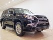 Lexus GX 460 Luxury 2018 - Bán Lexus GX 460 Luxury sản xuất năm 2018, màu đen, nhập Mỹ mới 100%