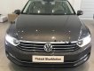 Volkswagen Passat 1.8 Bluemotion 2018 - Bán xe Volkswagen Passat 1.8 Bluemotion sản xuất 2018, màu xám, nhập khẩu