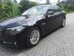 BMW 5 Series 520i 2015 - Bán ô tô BMW 5 Series 520i năm 2015, màu đen, xe nhập