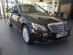 Mercedes-Benz C class C250 2017 - Bán Mercedes C250 đời 2017, màu đen số tự động