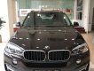 BMW X5 2017 - Bán BMW X5 xDrive35i tại Đắk Lắk