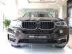 BMW X5 2017 - Bán BMW X5 xDrive35i tại Đắk Lắk