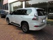 Lexus GX460 2016 - Bán ô tô Lexus GX460 năm 2016, màu trắng, xe nhập, chính chủ