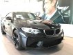 BMW M Couper M2 2017 - Bán BMW M Couper M2 đời 2017, màu đen, nhập khẩu