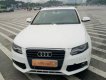 Audi A4  2.0T 2010 - Cần bán xe Audi A4 2.0T đời 2010, màu trắng, nhập khẩu nguyên chiếc ít sử dụng, giá tốt