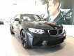 BMW M2 2017 - Cần bán BMW M2 sản xuất 2017 màu đen, 2 tỷ 999 triệu - nhập khẩu chính hãng - 0901214555