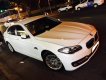 BMW 5 Series 520i 2014 - Bán BMW 5 Series 520i sản xuất 2014, màu trắng, xe nhập