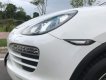 Porsche Cayenne   AT  2011 - Cần bán Porsche Cayenne AT đời 2011, nhập khẩu