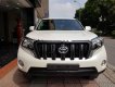 Toyota Prado 2016 - Cần bán xe Toyota Prado đời 2016, màu trắng, nhập khẩu nguyên chiếc