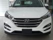 Hyundai Tucson 2.0 AT 2018 - Bán Hyundai Tucson 2018 giá hấp dẫn, có xe sẵn