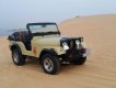 Jeep CJ 1980 - Bán Jeep CJ năm 1980, giá chỉ 275 triệu