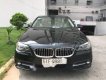 BMW 5 Series  520i 2016 - Bán ô tô BMW 5 Series 520i 2017, màu đen, nhập khẩu