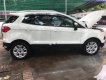 Ford EcoSport 2015 - Cần bán gấp Ford EcoSport đời 2015, màu trắng