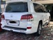 Lexus LX 570 2013 - Bán xe gia đình LX570, mới toanh không trầy xước, đăng ký lần đầu 2017