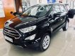 Ford EcoSport Titanium 2018 - Bán Ford EcoSport Titanium năm 2018, tiện dụng, an toàn, tiết kiệm