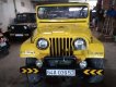 Jeep CJ   1980 - Bán xe Jeep CJ cabo bầu đẹp