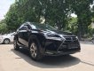 Lexus NX   300H 2018 - Bán Lexus NX 300h 2018, màu đen, nhập Mỹ