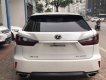 Lexus RX   AT  2016 - Bán Lexus RX AT đời 2016, xe nhập