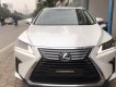 Lexus RX   AT  2016 - Bán Lexus RX AT đời 2016, xe nhập