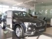 BMW X3 Mới   XDrive20i 2018 - Xe Mới BMW X3 XDrive20i 2018