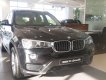 BMW X3 Mới   XDrive20i 2018 - Xe Mới BMW X3 XDrive20i 2018