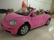 Volkswagen Beetle    2009 - Bán chiếc xe mui trần xếp điện Volkswagen Beetle 2009