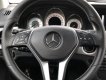 Mercedes-Benz CLK class  2.0 AT  2013 - Bán Mercedes 2.0 AT đời 2013, màu đen, xe nhập như mới