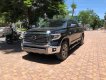 Toyota Tundra 1794 Edition 2018 - Bán xe Toyota Tundra 1794 Edition sản xuất 2018, màu đen, nội thất nâu mới 100%