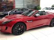 Jaguar F Type 2017 - Bán Jaguar F-Type - Mẫu Convertible đầy tinh tế từ Anh Quốc