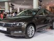 Volkswagen Passat GP 2017 - Bán Passat GP màu nâu, nhập khẩu Đức, giao xe ngay hỗ trợ vay 80%, Volkswagen Đà Nẵng