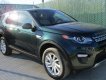 LandRover Discovery Sport 2017 - Bán ô tô LandRover Discovery SPORT 2018, màu xanh lục độc đáo