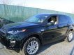 LandRover Discovery Sport 2017 - Bán ô tô LandRover Discovery SPORT 2018, màu xanh lục độc đáo