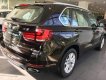 BMW X5 Mới   XDrive35i 2018 - Xe Mới BMW X5 XDrive35i 2018