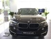 BMW X5 Mới   XDrive35i 2018 - Xe Mới BMW X5 XDrive35i 2018