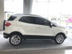 Ford EcoSport 2018 - Bán ô tô Ford EcoSport đời 2018, màu trắng, giá 593tr